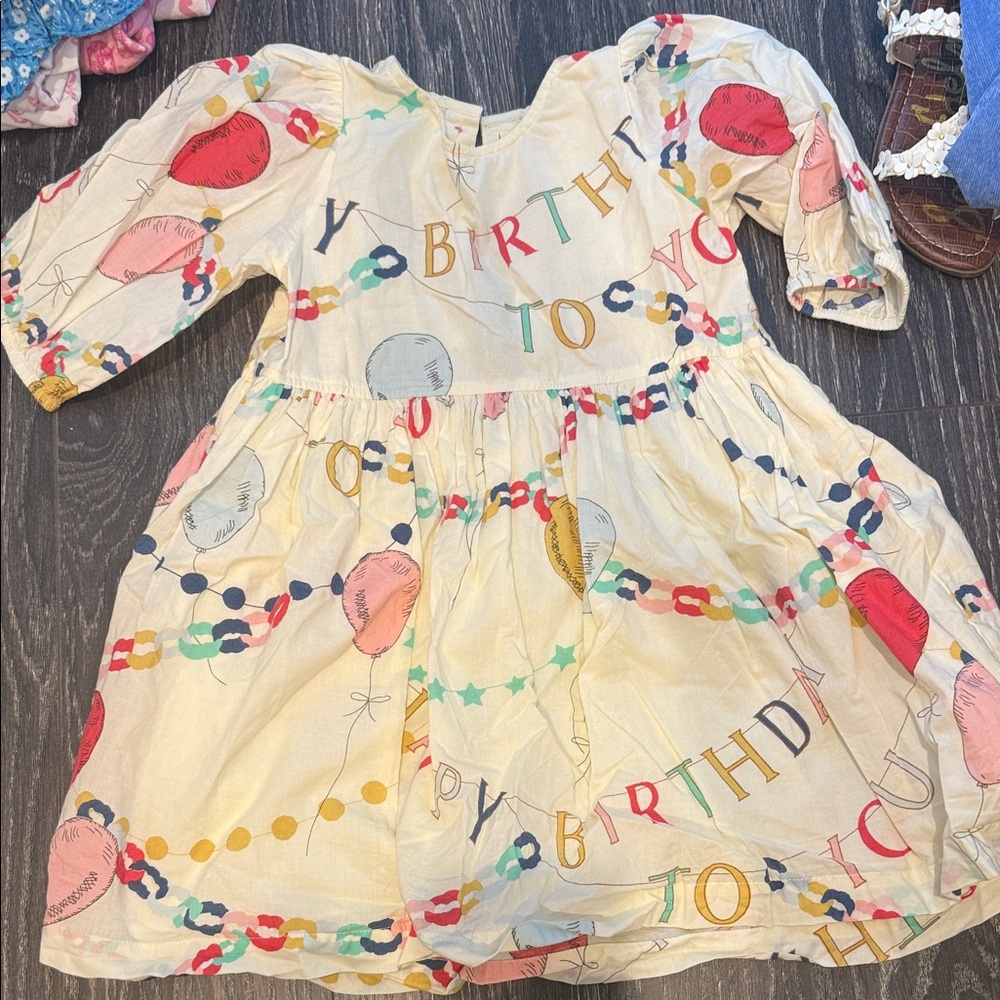 Pink Chicken Multicolor Birthday Dress